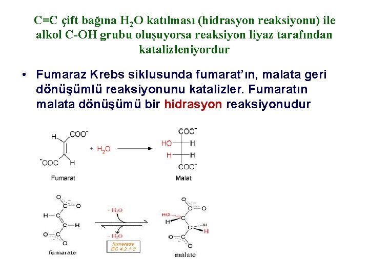 C=C çift bağına H 2 O katılması (hidrasyon reaksiyonu) ile alkol C-OH grubu oluşuyorsa