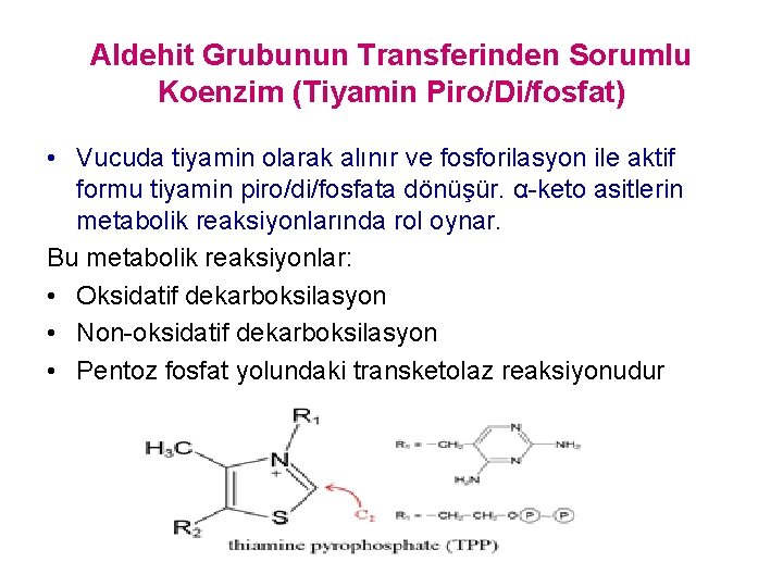 Aldehit Grubunun Transferinden Sorumlu Koenzim (Tiyamin Piro/Di/fosfat) • Vucuda tiyamin olarak alınır ve fosforilasyon