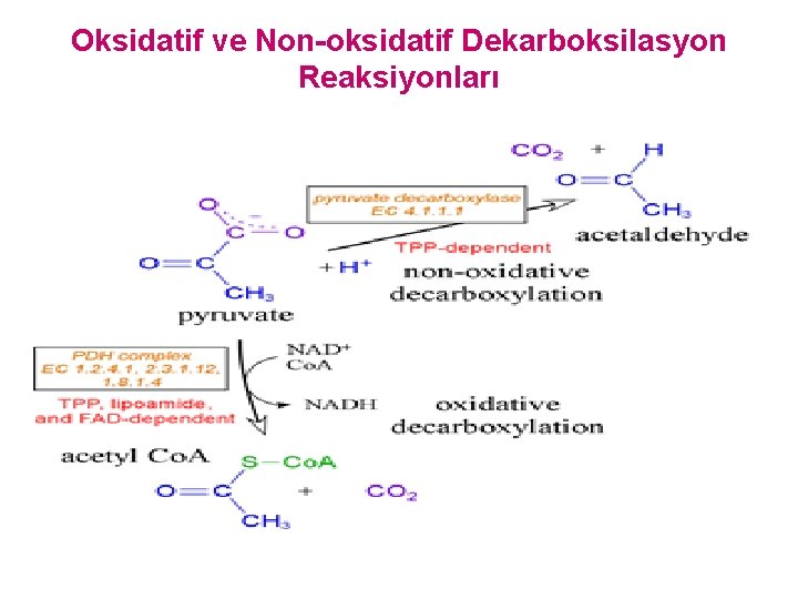 Oksidatif ve Non-oksidatif Dekarboksilasyon Reaksiyonları 