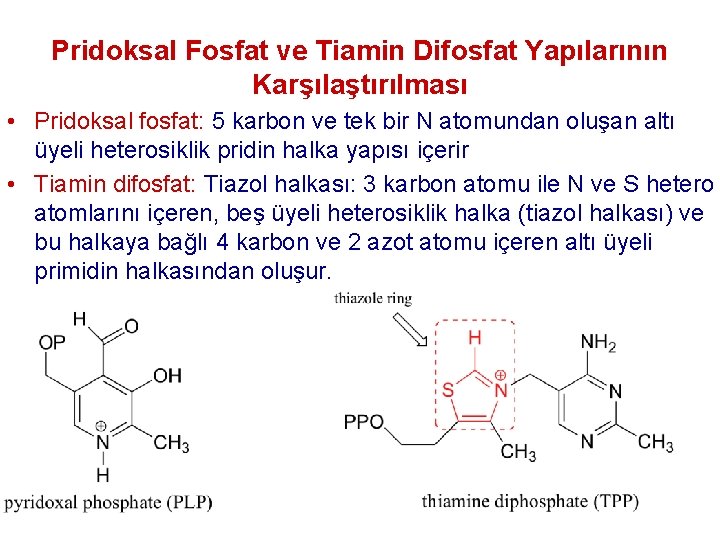 Pridoksal Fosfat ve Tiamin Difosfat Yapılarının Karşılaştırılması • Pridoksal fosfat: 5 karbon ve tek