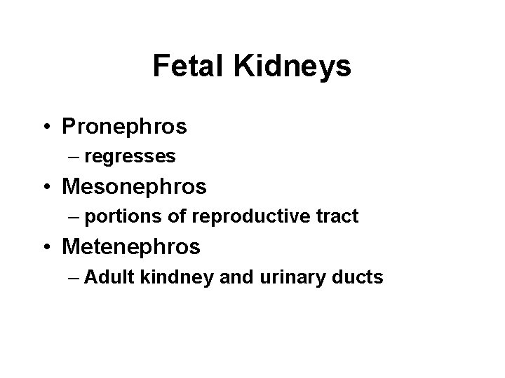 Fetal Kidneys • Pronephros – regresses • Mesonephros – portions of reproductive tract •