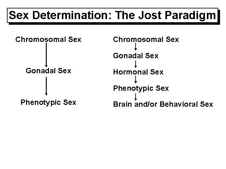 Sex Determination: The Jost Paradigm Chromosomal Sex Gonadal Sex Hormonal Sex Phenotypic Sex Brain