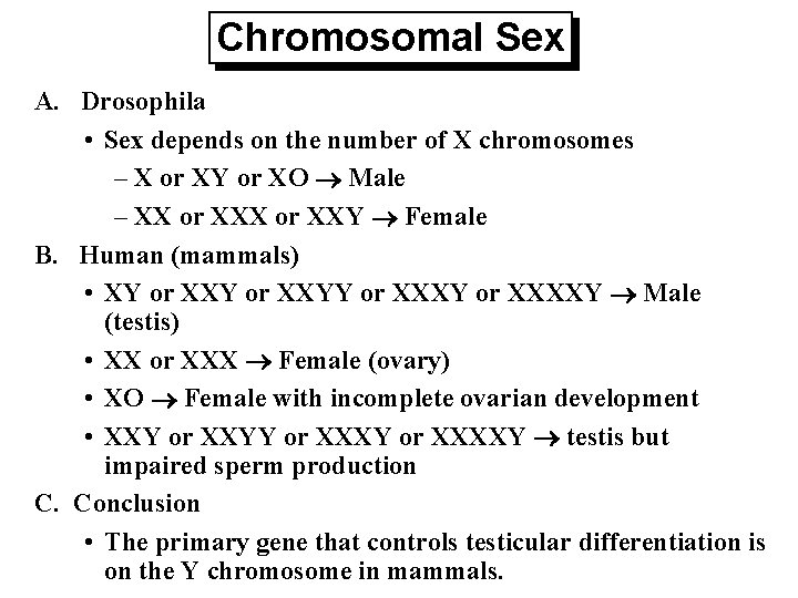 Chromosomal Sex A. Drosophila • Sex depends on the number of X chromosomes –