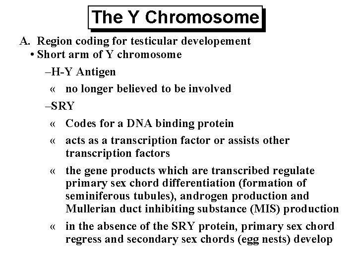 The Y Chromosome A. Region coding for testicular developement • Short arm of Y