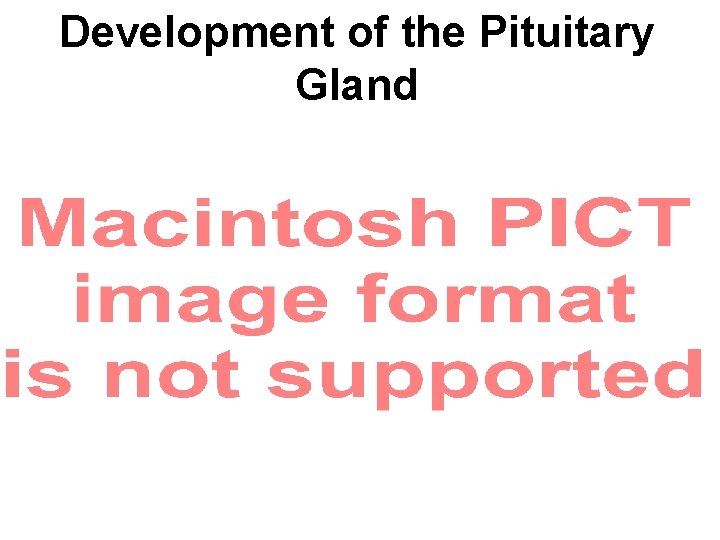 Development of the Pituitary Gland 