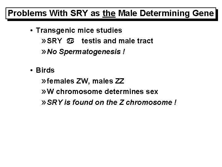 Problems With SRY as the Male Determining Gene • Transgenic mice studies » SRY