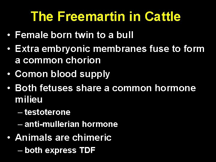 The Freemartin in Cattle • Female born twin to a bull • Extra embryonic