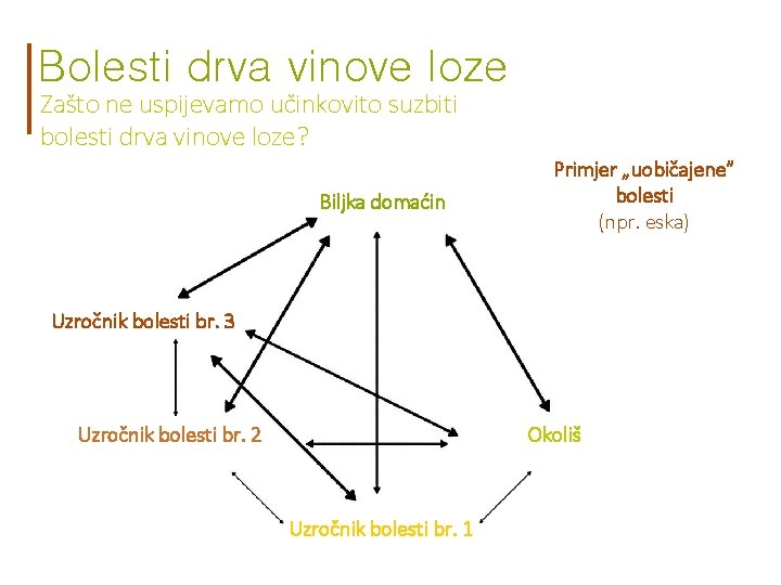 Bolesti drva vinove loze Zašto ne uspijevamo učinkovito suzbiti bolesti drva vinove loze? Biljka