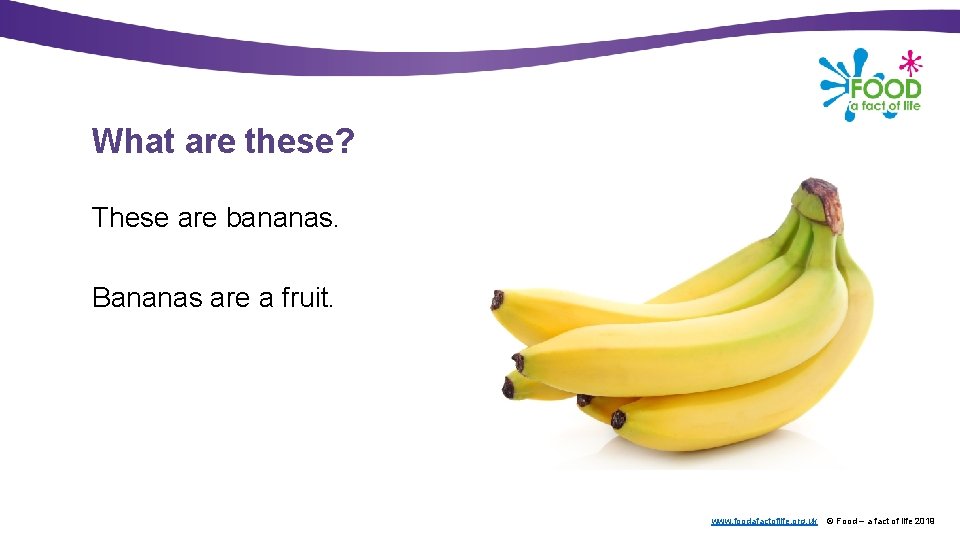 What are these? These are bananas. Bananas are a fruit. www. foodafactoflife. org. uk