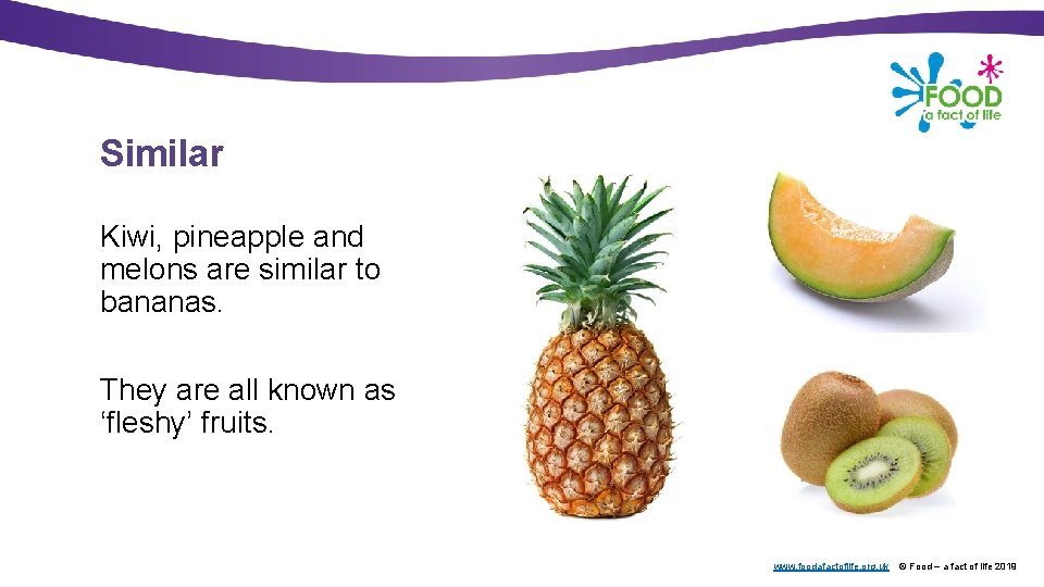 Similar Kiwi, pineapple and melons are similar to bananas. They are all known as