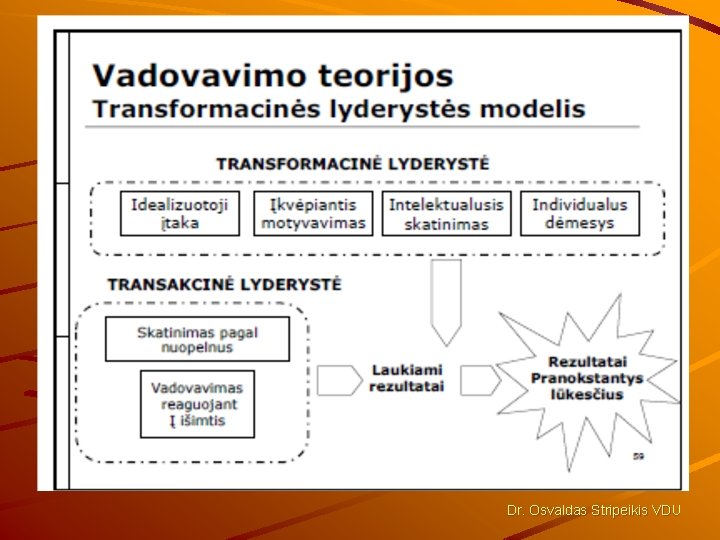 Dr. Osvaldas Stripeikis VDU 