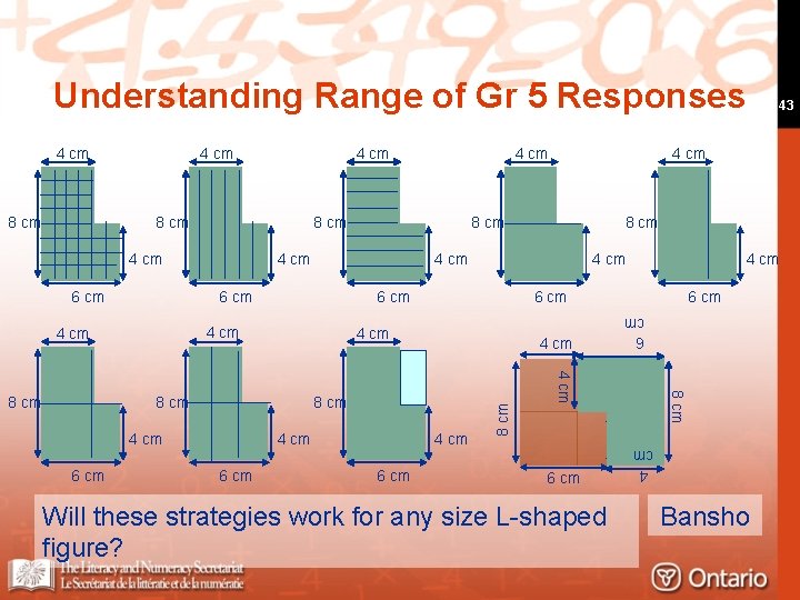 Understanding Range of Gr 5 Responses 8 cm 4 cm 8 cm 4 cm