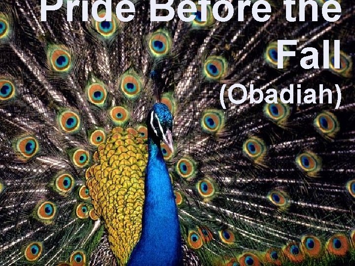 Pride Before the Fall (Obadiah) 