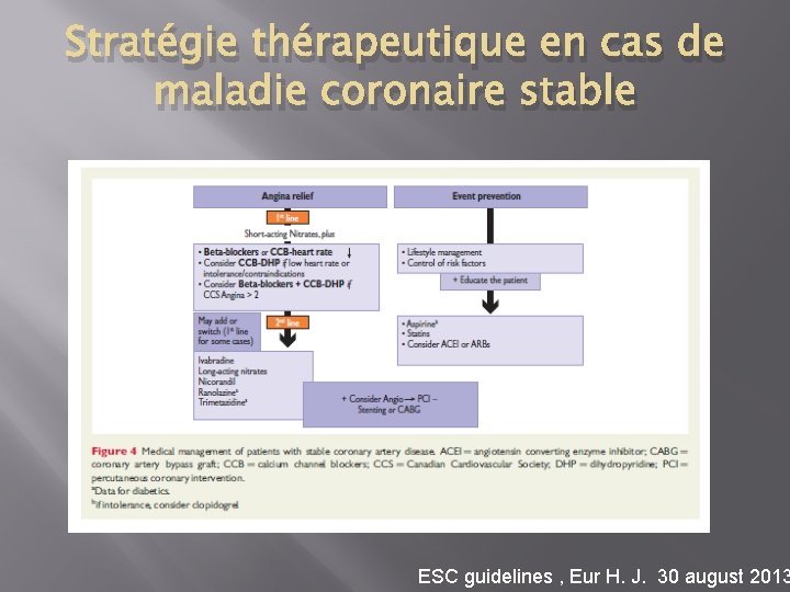 Stratégie thérapeutique en cas de maladie coronaire stable ESC guidelines , Eur H. J.