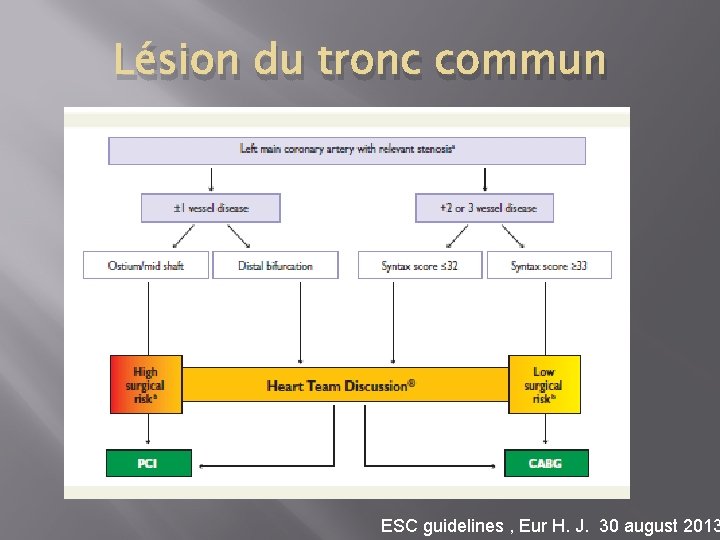 Lésion du tronc commun ESC guidelines , Eur H. J. 30 august 2013 