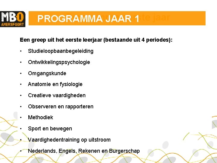 Programma eerste PROGRAMMA JAAR 1 jaar Een greep uit het eerste leerjaar (bestaande uit