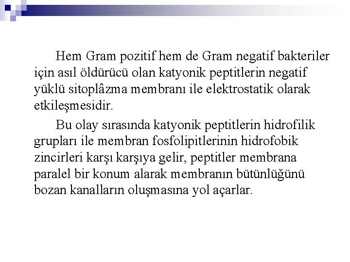 Hem Gram pozitif hem de Gram negatif bakteriler için asıl öldürücü olan katyonik peptitlerin