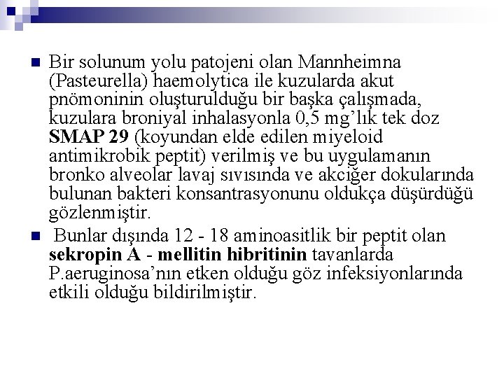 n n Bir solunum yolu patojeni olan Mannheimna (Pasteurella) haemolytica ile kuzularda akut pnömoninin