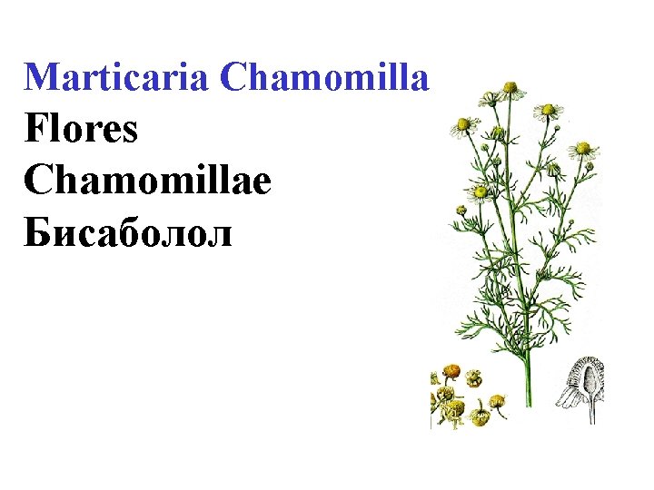 Marticaria Chamomilla Flores Chamomillae Бисаболол 