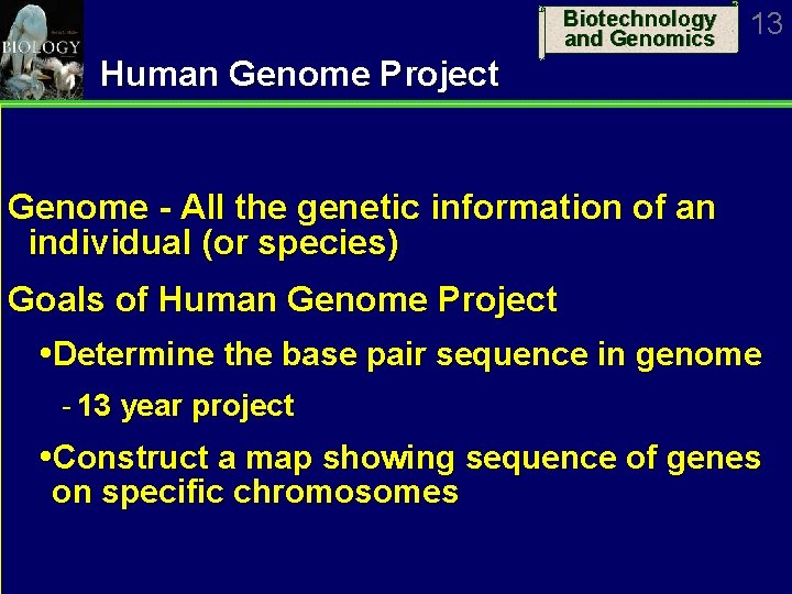 Biotechnology and Genomics 13 Human Genome Project Genome - All the genetic information of