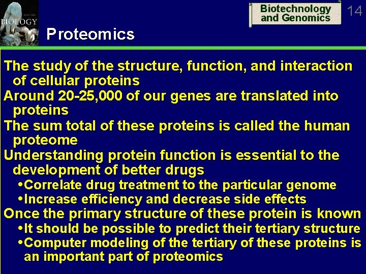 Biotechnology and Genomics 14 Proteomics The study of the structure, function, and interaction of