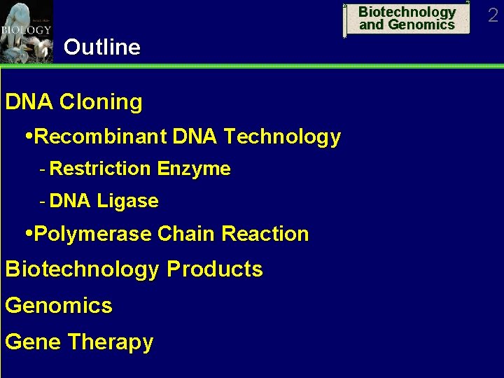 Biotechnology and Genomics Outline DNA Cloning Recombinant DNA Technology Restriction Enzyme DNA Ligase Polymerase