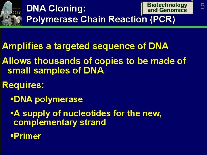 Biotechnology and Genomics DNA Cloning: Polymerase Chain Reaction (PCR) Amplifies a targeted sequence of