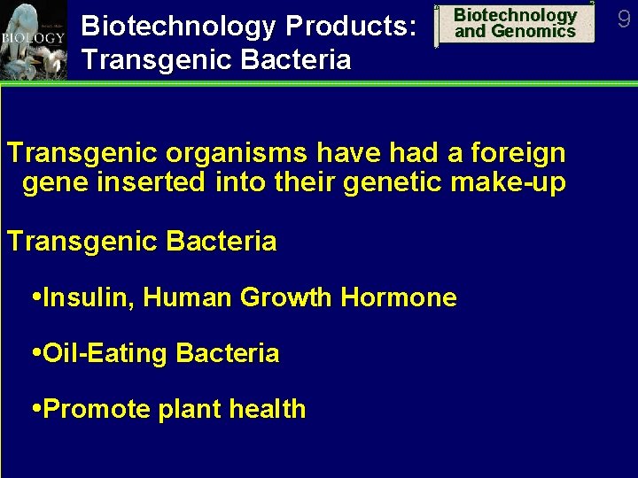 Biotechnology Products: Transgenic Bacteria Biotechnology and Genomics Transgenic organisms have had a foreign gene