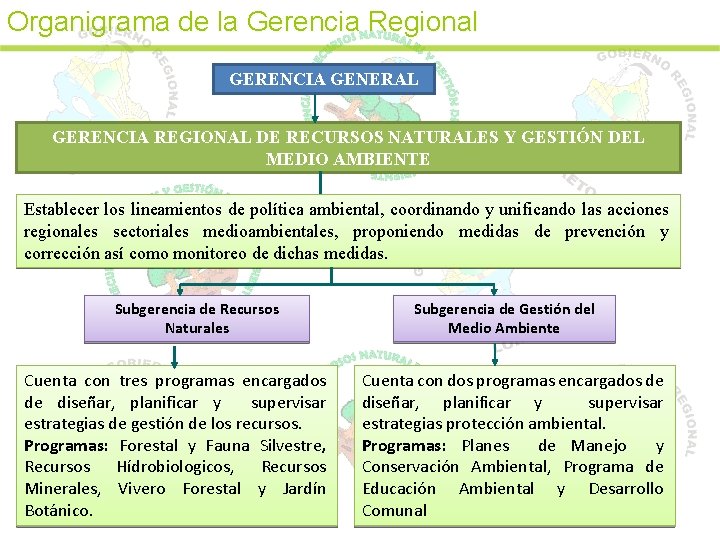 Organigrama de la Gerencia Regional GERENCIA GENERAL GERENCIA REGIONAL DE RECURSOS NATURALES Y GESTIÓN