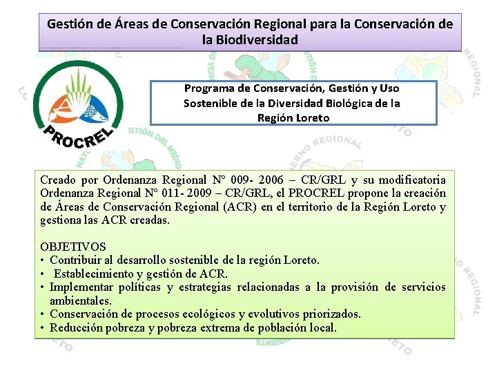 Gestión de Áreas de Conservación Regional para la Conservación de la Biodiversidad Programa de