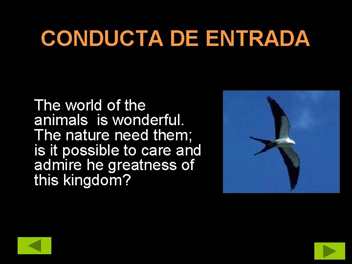 CONDUCTA DE ENTRADA The world of the animals is wonderful. The nature need them;