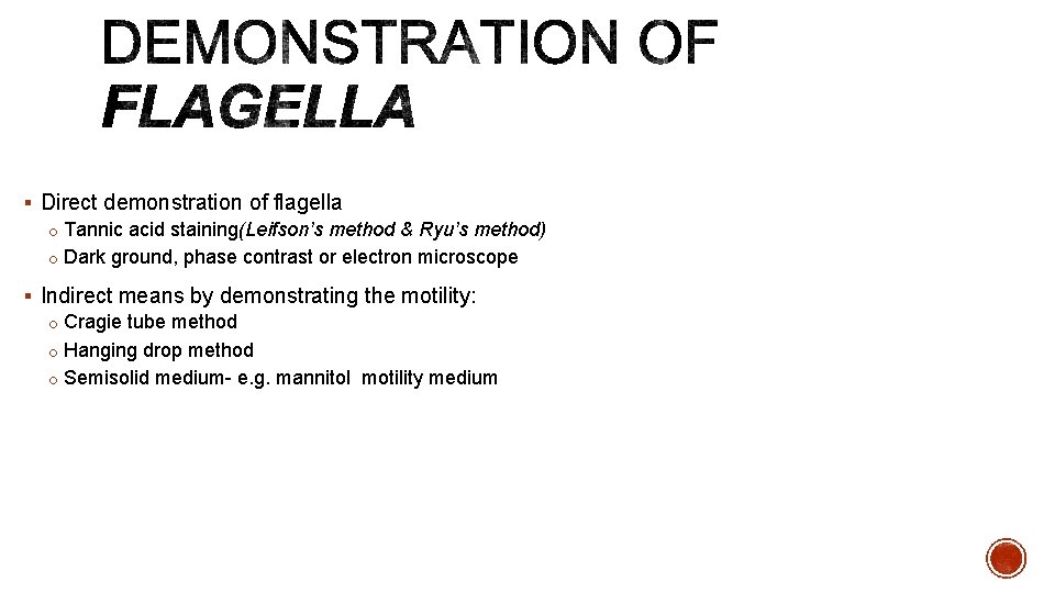 § Direct demonstration of flagella o Tannic acid staining(Leifson’s method & Ryu’s method) o