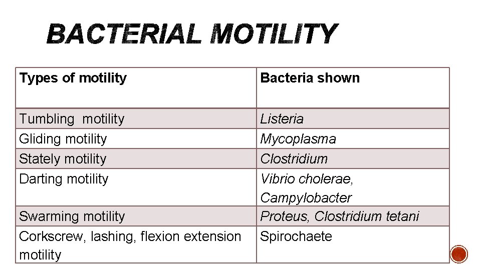 Types of motility Bacteria shown Tumbling motility Gliding motility Stately motility Darting motility Listeria