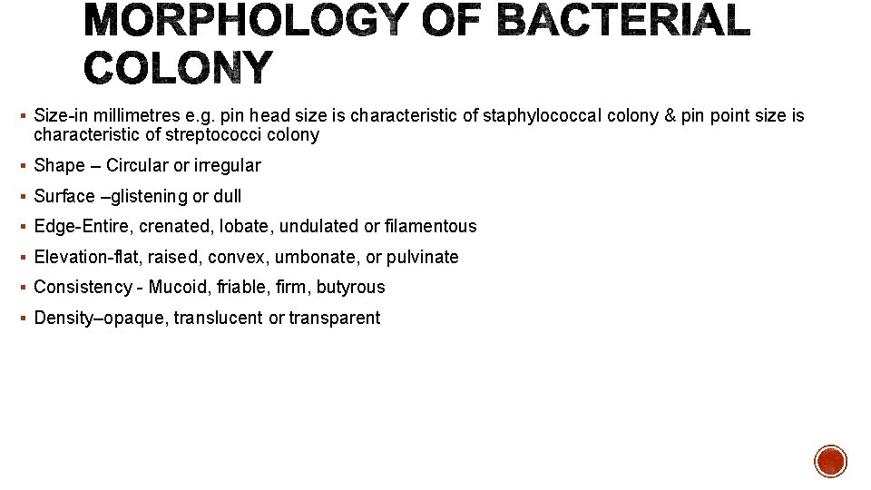 § Size-in millimetres e. g. pin head size is characteristic of staphylococcal colony &