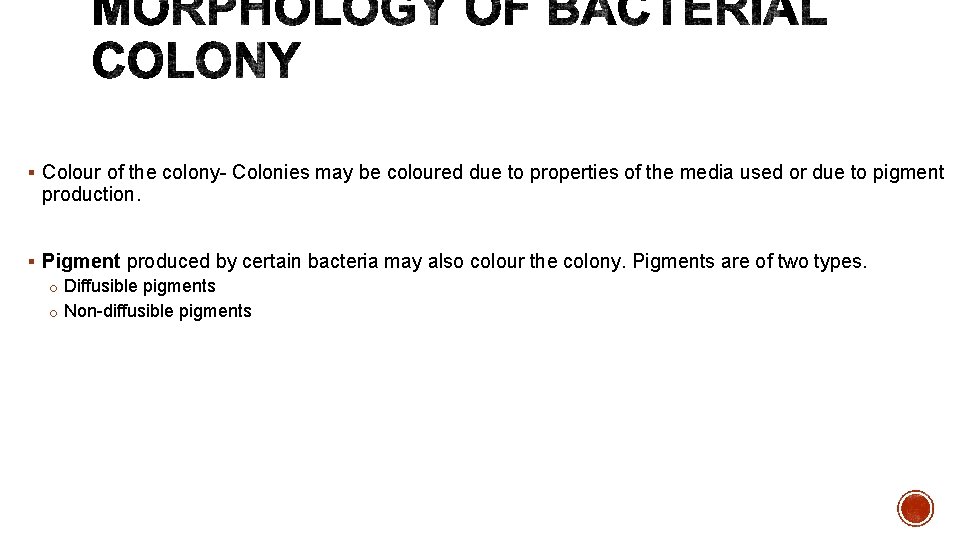 § Colour of the colony- Colonies may be coloured due to properties of the