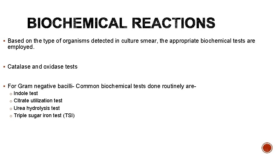 § Based on the type of organisms detected in culture smear, the appropriate biochemical