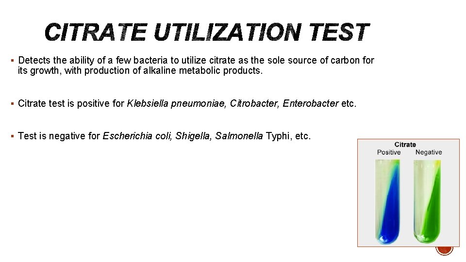 § Detects the ability of a few bacteria to utilize citrate as the sole