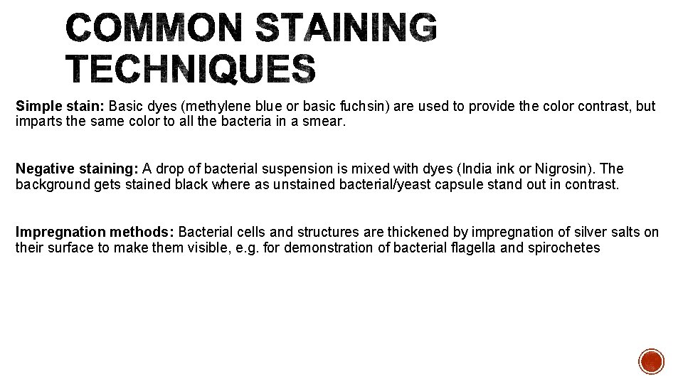 Simple stain: Basic dyes (methylene blue or basic fuchsin) are used to provide the