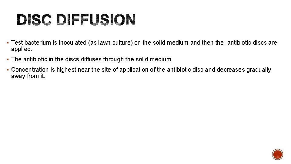 § Test bacterium is inoculated (as lawn culture) on the solid medium and then