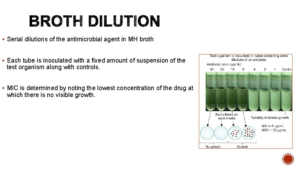 § Serial dilutions of the antimicrobial agent in MH broth § Each tube is