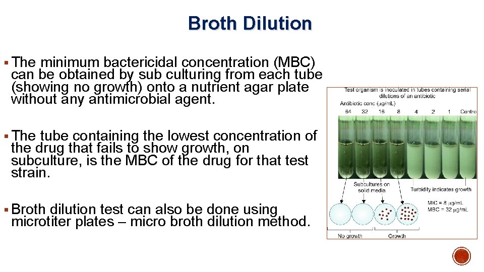 Broth Dilution § The minimum bactericidal concentration (MBC) can be obtained by sub culturing