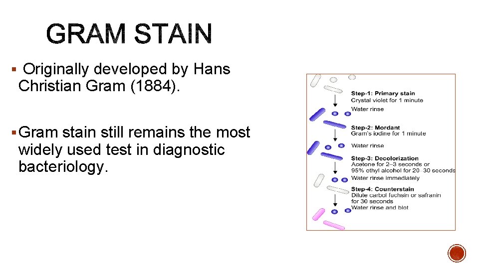 § Originally developed by Hans Christian Gram (1884). § Gram stain still remains the