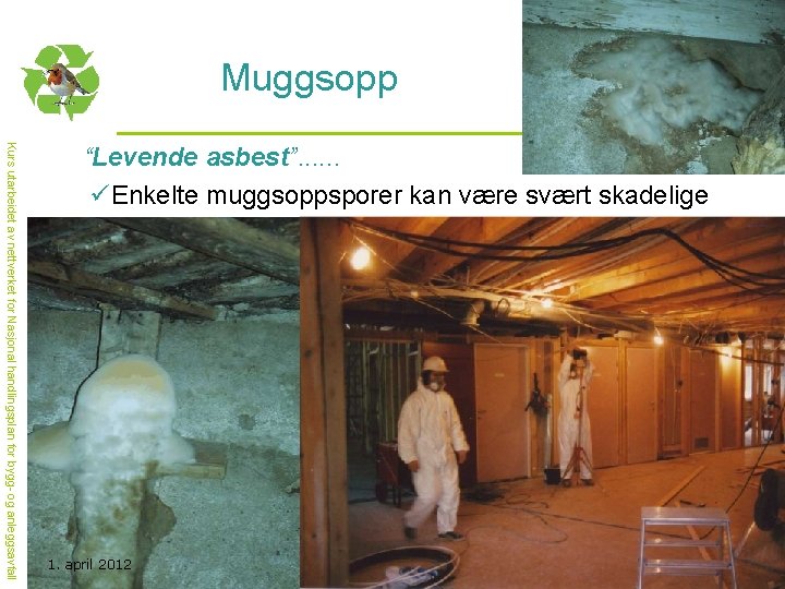 Muggsopp Kurs utarbeidet av nettverket for Nasjonal handlingsplan for bygg- og anleggsavfall “Levende asbest”.