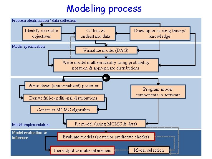 Modeling process Problem identification / data collection Identify scientific objectives Model specification Collect &