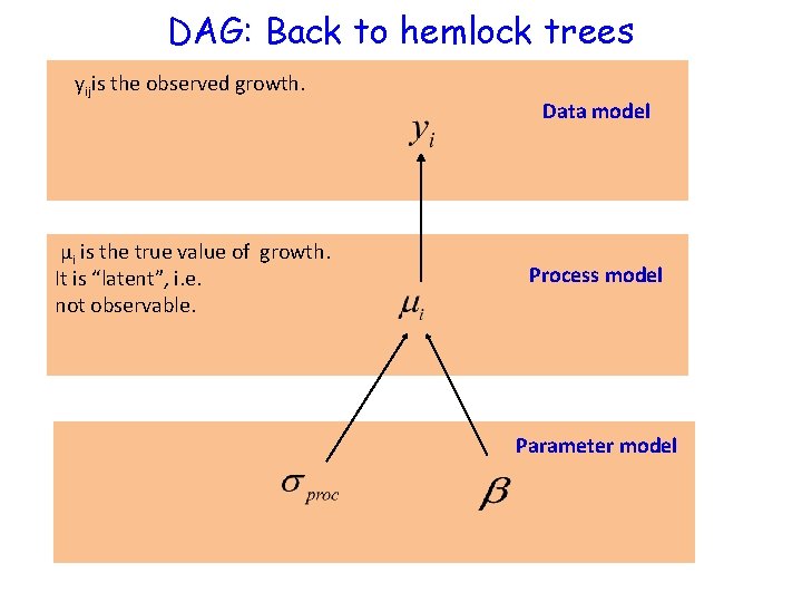 DAG: Back to hemlock trees yijis the observed growth. μi is the true value