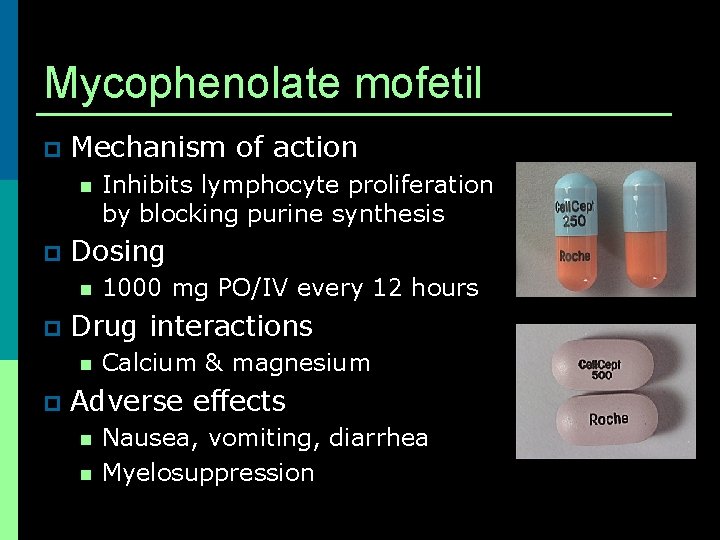 Mycophenolate mofetil p Mechanism of action n p Dosing n p 1000 mg PO/IV