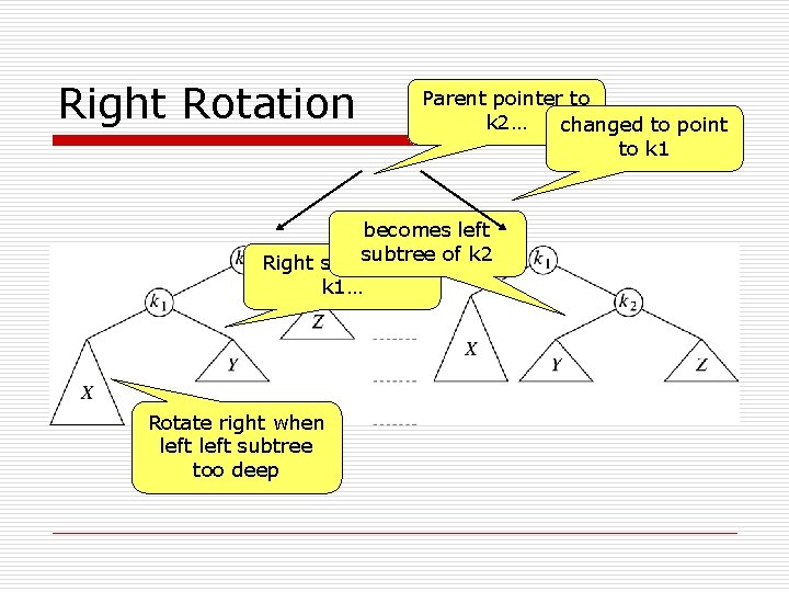 Right Rotation Parent pointer to k 2… changed to point to k 1 becomes