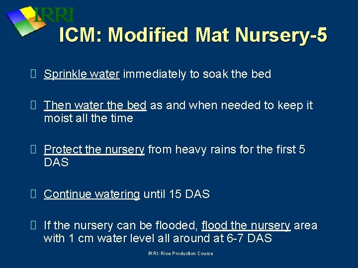 ICM: Modified Mat Nursery-5 Sprinkle water immediately to soak the bed Then water the