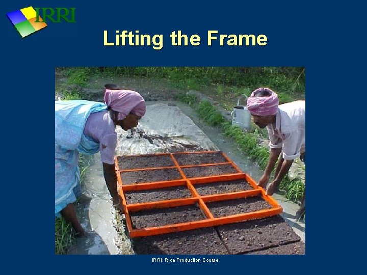 Lifting the Frame IRRI: Rice Production Course 