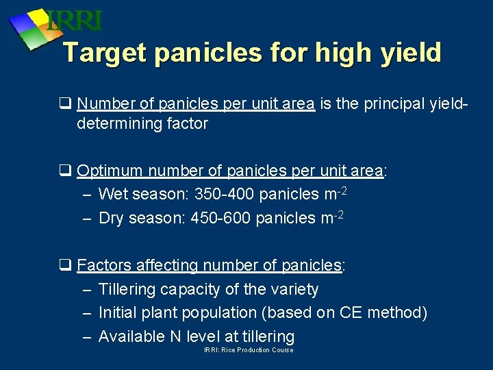 Target panicles for high yield q Number of panicles per unit area is the